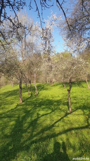 2 camere, 4000 mp,langa lacul Vidraru - imagine 6