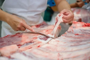 locuri de munca olanda 