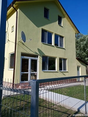 Vand Vilă  in Lepșa  - imagine 4