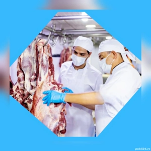 locuri de muncă la fabrica de carne în Germania 