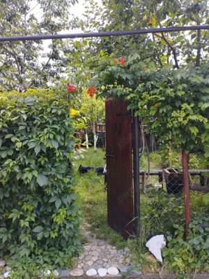 Vand apartament la Casa in sibiu . - imagine 13