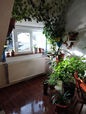 Vand apartament la Casa in sibiu . - imagine 5