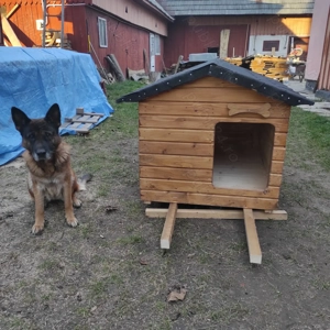 Cușca câine, lambriu sau scândură 