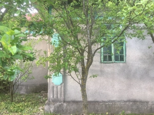 Vând 2 case în aceeași curte, Anexe, Garaj, Grădină cu pomi - 5108 mp - Tătărăștii de Sus, Teleorman - imagine 3