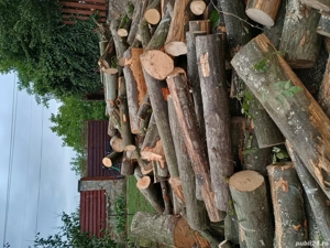 lemne de foc 