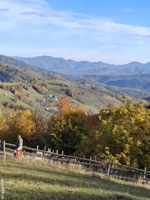 vand teren cu casa la munte - imagine 3