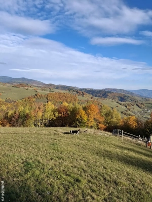 vand teren cu casa la munte - imagine 2