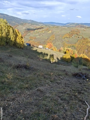 vand teren cu casa la munte - imagine 5