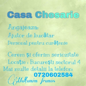 Casa Chesarie  angajează 