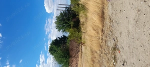 Vănzare teren - imagine 3