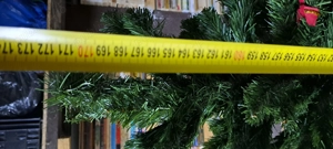 brad din plastic, 170 cm