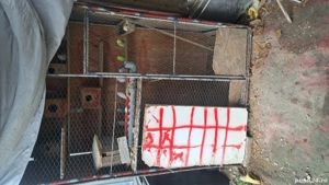 perusi de vanzare - imagine 5