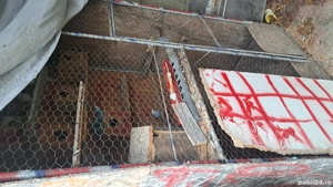 perusi de vanzare - imagine 4