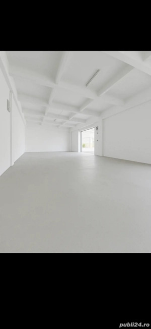 inchiriez hala calea borsului - imagine 3