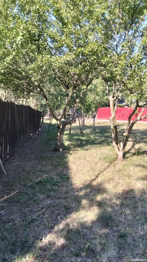 Casă bătrânească 20.000 euro  - imagine 9