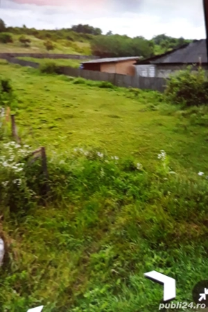 vand 1300 mp Topoloveni  