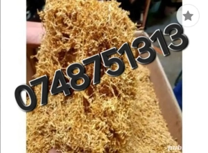 fir,i.c.ellll.. la galeata galben auriu aromat extra fin ieftin