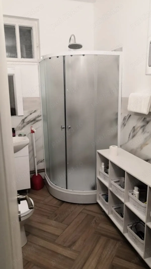 2 case cu 12377 mp teren in curte, front 30 m, +2900 mp. Potențial imobiliar.  - imagine 8