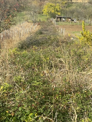 vand teren intravilan