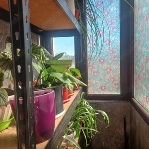 Pantelimon-Parcul Florilor, apartament 3 camere de vanzare - imagine 7