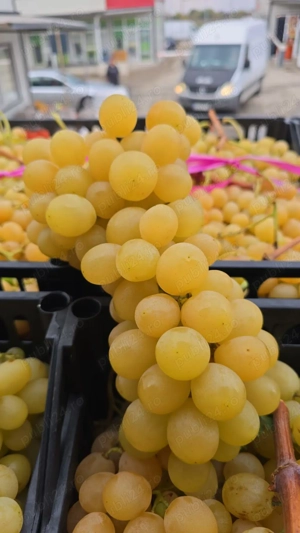 Manipulanti depozit legume fructe 