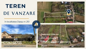 Teren intravilan de vânzare – Dipșa