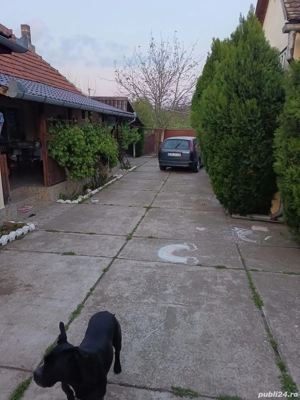 Vînd casa in măderat  - imagine 5