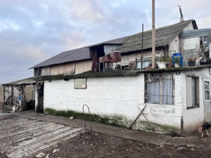 Vând fermă de vaci Jud. Arad - imagine 3