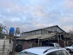 Vând fermă de vaci Jud. Arad