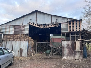 Vând fermă de vaci Jud. Arad - imagine 7