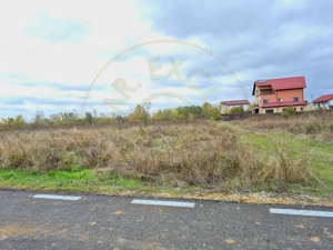 Terenuri de construcție casa in Domnești cu toate utilitățile disponibile - imagine 2