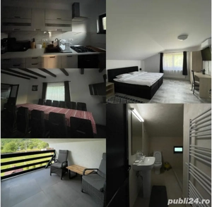 Pensiune de inchiriat       Valea Draganului Pensiunea Ana nr7