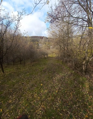 Vând  teren extravilan !