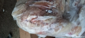 Oase și carne pentru ciini - imagine 3