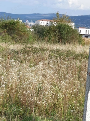 Vând teren Alba Micesti partea stingă  - imagine 3