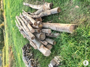 Lemne de foc uscate. Toata gramada. 