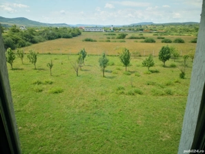 Casă P+1+M, 350 mp, teren 70 ari, Livezile, la 9 km de Bistr... - imagine 5