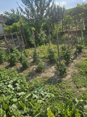 Casa de vanzare orasul Geoagiu, jud. Hunedoara - imagine 6