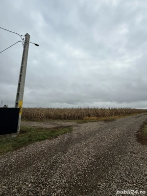 Vand teren intravilan Catamaresti Deal - imagine 4