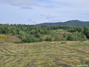 Teren de vânzare Vânători Ciucea jud.Cluj 8750 mp extravilan