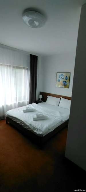 Închiriez pensiune pentru Crăciun  - imagine 2