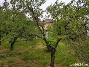 Vand teren intravilan in Giroc - imagine 2