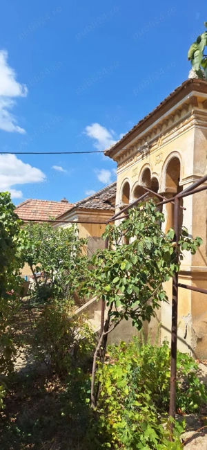 Vand casa in Ciupercenii Noi,judetul Dolj - imagine 8