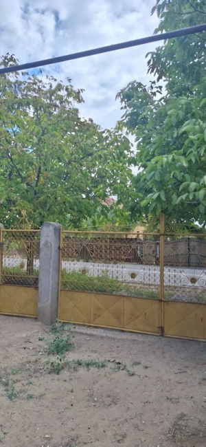 Vand casa in Ciupercenii Noi,judetul Dolj - imagine 9