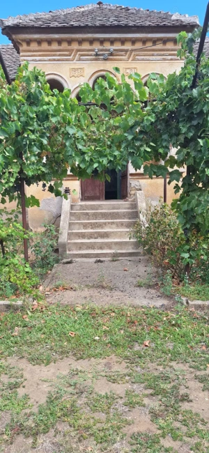 Vand casa in Ciupercenii Noi,jud.Dolj - imagine 6