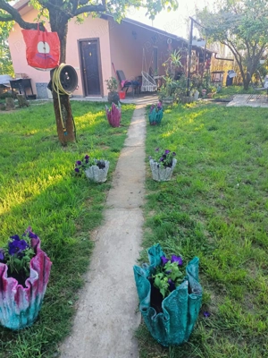 Teren 10 arii cu casă