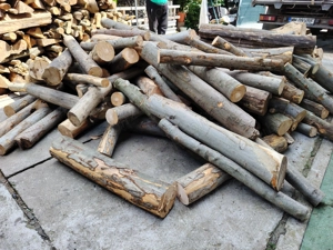 Vând lemn de foc rotund din răritură fag carpen gorun calitate foarte buna 