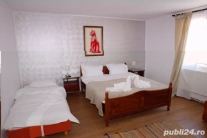 Pensune Ranca vizavi de partia M3 - imagine 3