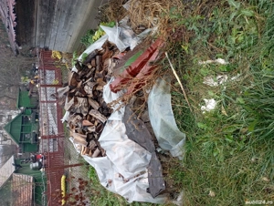 lemne de foc - imagine 2