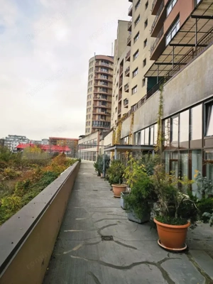 Apartament 1 camera, Bloc Nou, Zorilor 